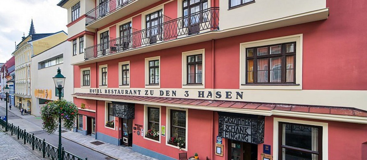 Hotel Drei Hasen***, Mariazell