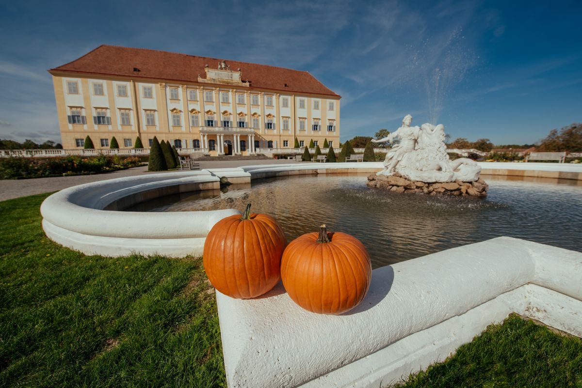 © Michael Cilc / Schloß Schönbrunn Kultur- und Betriebsges.m.b.H.