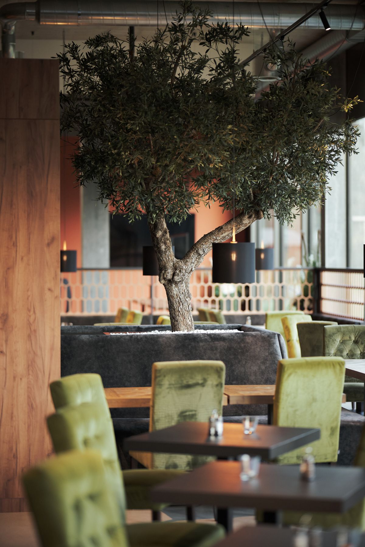 © B&B HOTEL Liechtenstein-Eschen