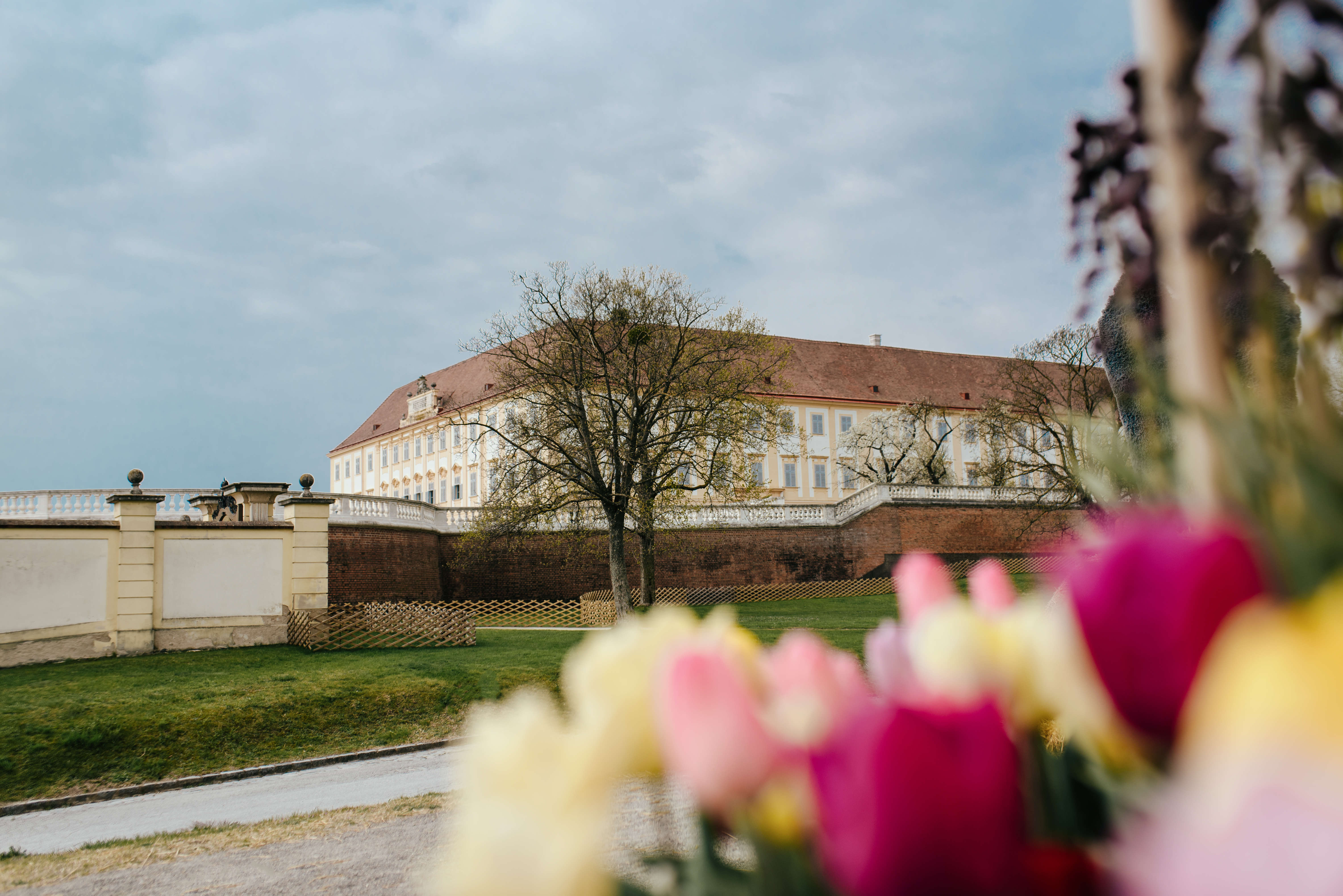 © Michal Cilc / Schloß Schönbrunn Kultur- und Betriebsges.m.b.H.