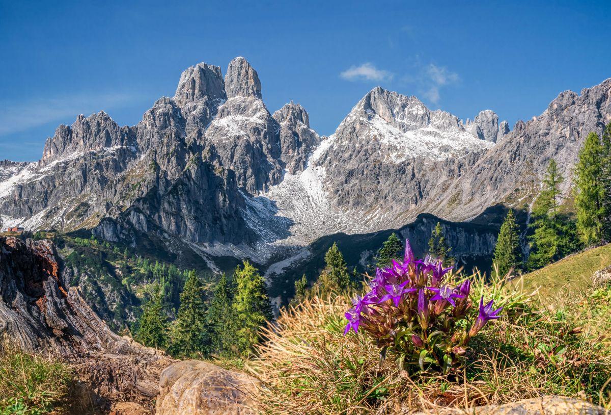 © Hotel Alpenblick und Hirschenau