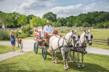 © Schloß Schönbrunn Kultur & BetriebsgesmbH - Severin Wurning