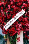 Ingolstadt Village