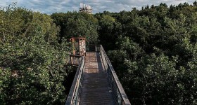 „Panarbora“ – Naturerlebnispark