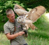 Wildparadies_Falkner-mit-Uhu ©Erlebnispark Tripsdrill