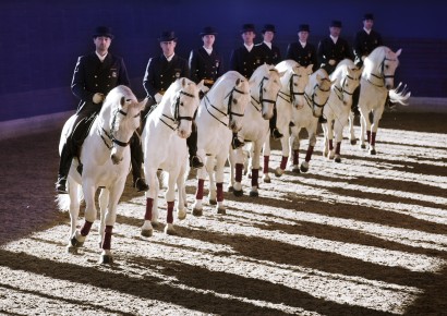 © Gestüt Lipica & Hotel Maestoso 4*Superior