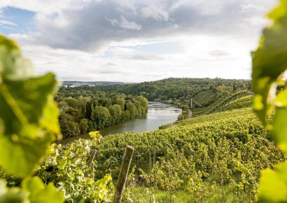 © Tourismus Marketing GmbH Baden-Württemberg