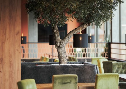 © B&B HOTEL Liechtenstein-Eschen