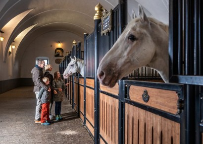 © Gestüt Lipica & Hotel Maestoso 4*Superior