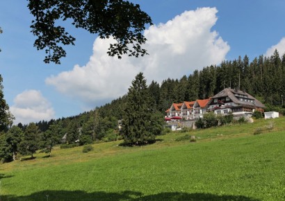 JUFA Hotel Schwarzwald