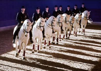 © Gestüt Lipica & Hotel Maestoso 4*Superior