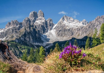 © Hotel Alpenblick und Hirschenau