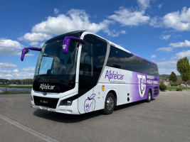 Apfelcar AG