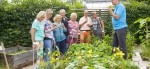 © DIE GARTEN TULLN