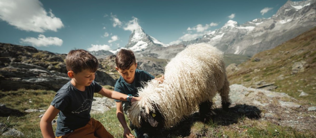 © Gornergrat Bahn - Schnyder Werbung
