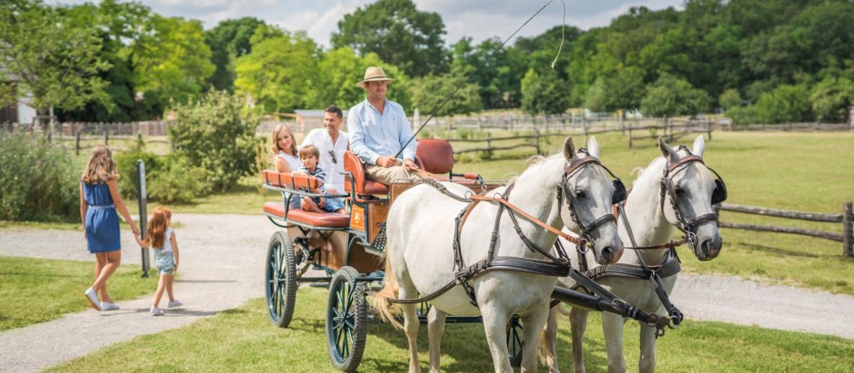 © Schloß Schönbrunn Kultur & BetriebsgesmbH - Severin Wurning