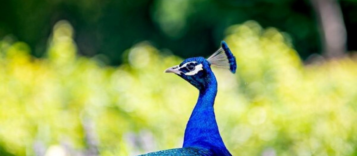 © STARKL Erlebnisgarten