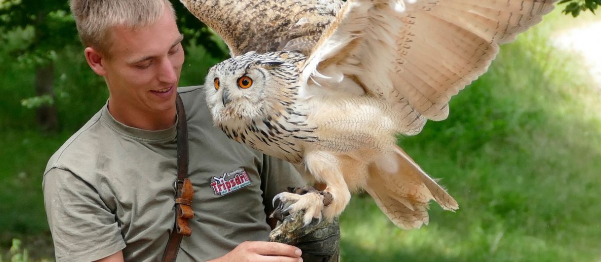 Wildparadies_Falkner-mit-Uhu ©Erlebnispark Tripsdrill