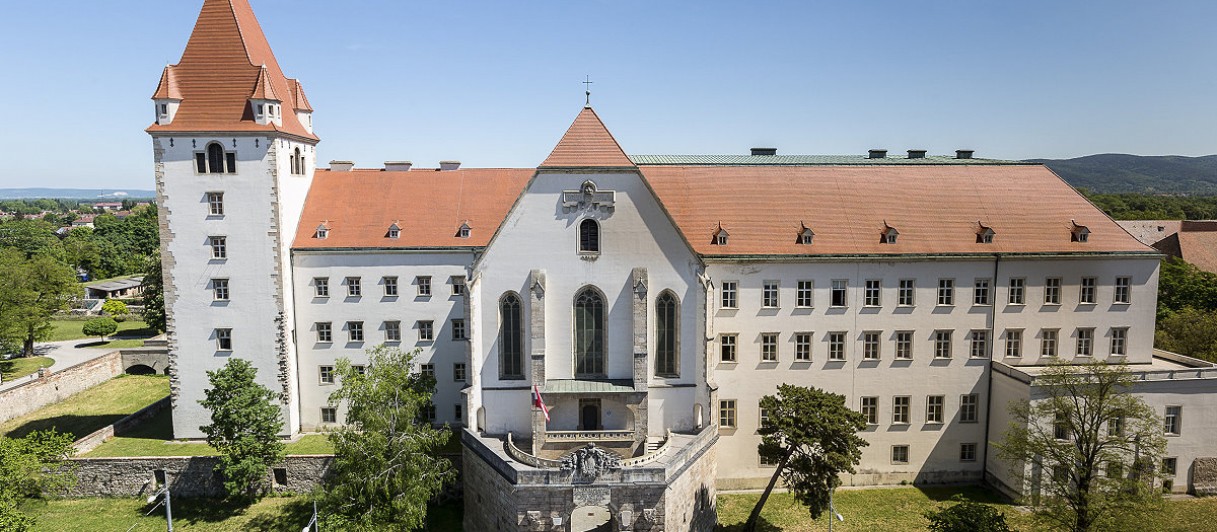Die Burg von Wiener Neustadt mit Georgskathedrale