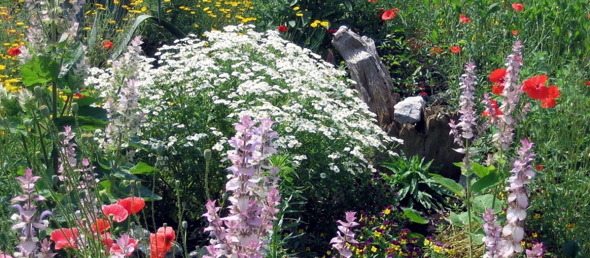 Steinschaler Naturhotel****