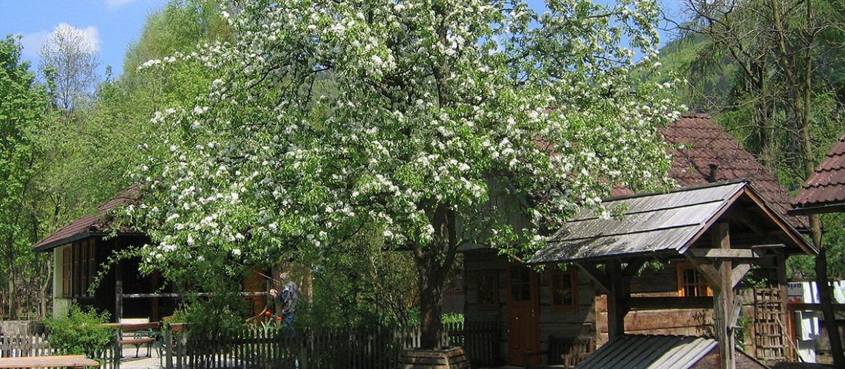 Steinschaler Naturhotel****